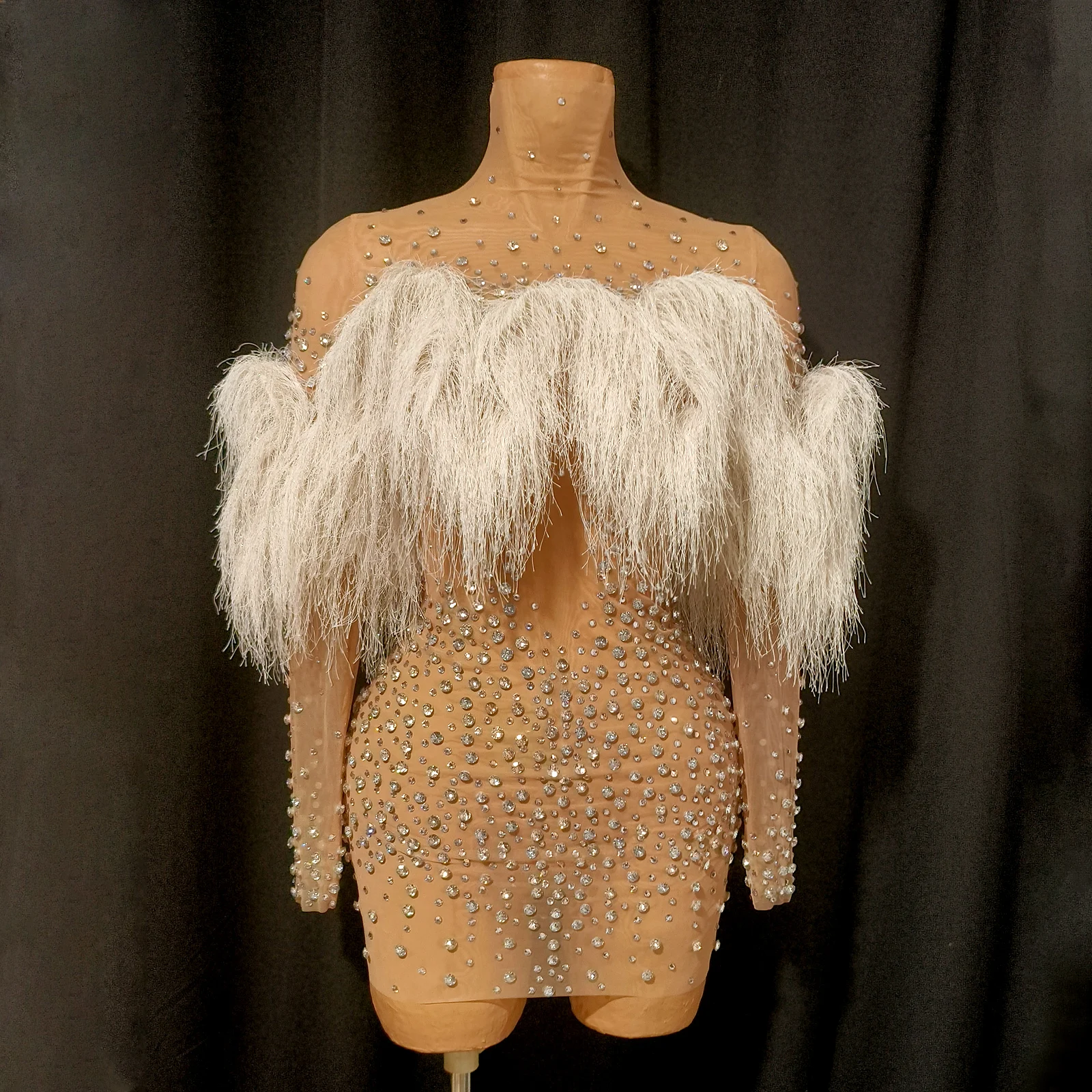 

Блестящая юбка с кисточками и перьями со стразами, сетчатое прозрачное платье с длинными рукавами, вечернее платье для выпускного вечера, дня рождения, ночного клуба, наряд Drag Queen