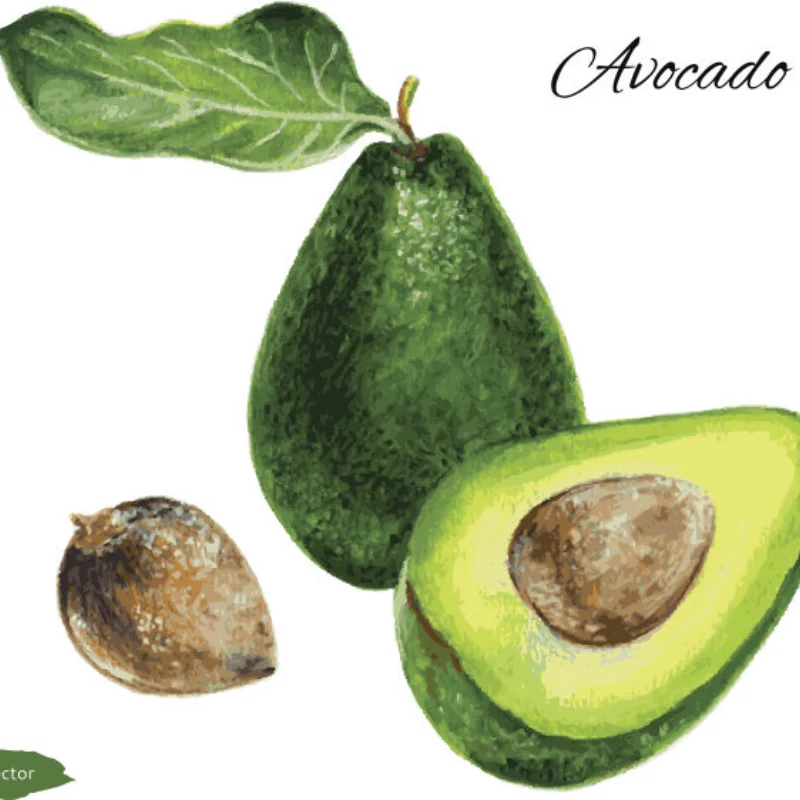 

Радиоуправляемая машина для 1/7 1/8 1/10, радиатор двигателя 540 550 3650 3660 3670, высокоскоростной вентилятор с охлаждением двигателя, двойной вентилятор 3010