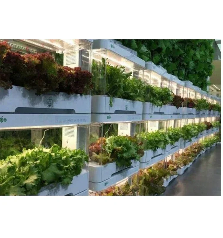 

Hot salesIntelligent hydroponic planter, soilless cultivation equipment, hydroponic vegetable indoor sprouting and plan