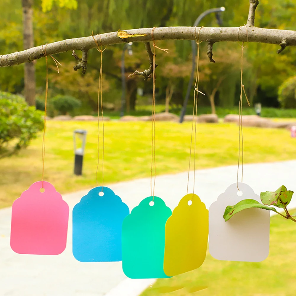 100-200PCS Hanging Plants Labels PVC Tags Plastic Waterproof Anti-UV Clean and Reuse Diy Garden Decorating Tools Multiple Colors