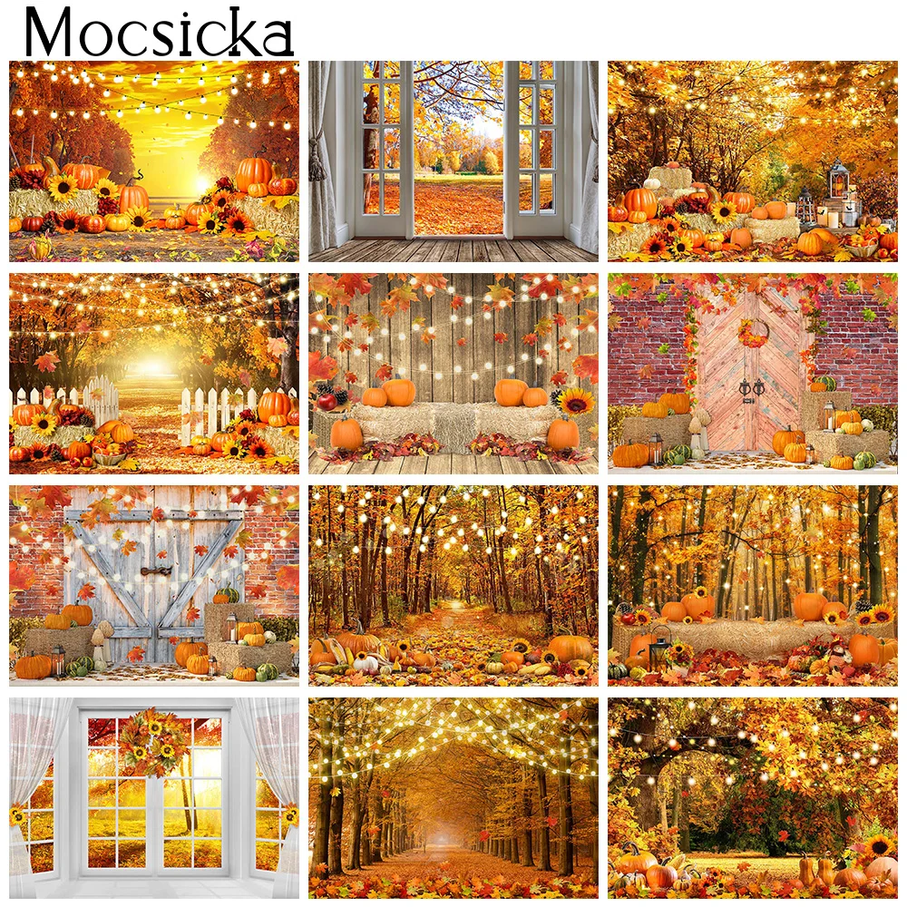 

Autumn Pumpkin Kids Cake Smash Photo Backdrop Fall Maple Forest Portrait Background Thanksgiving Harvest Photography Studio