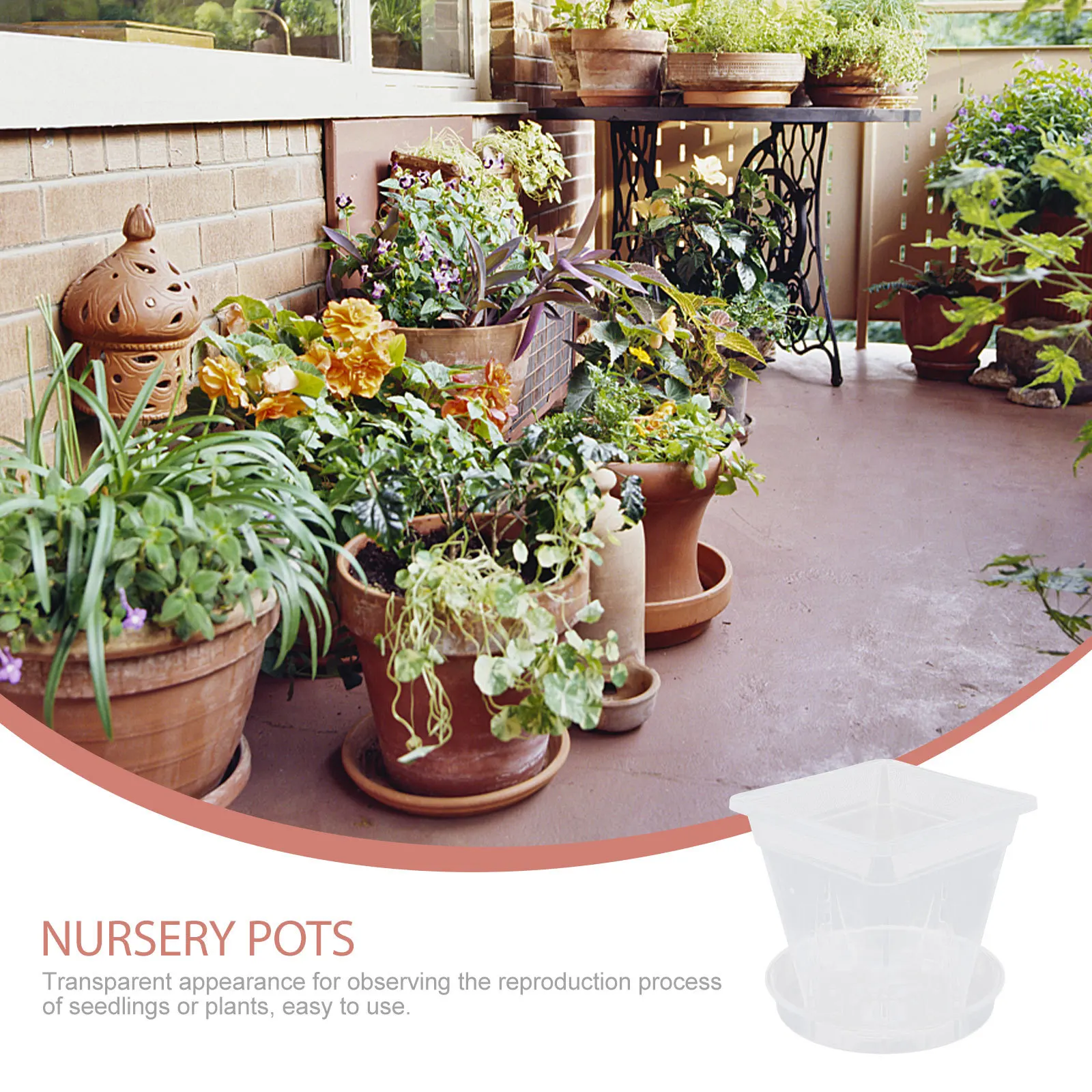 

5Sets Orchid Pots Clear Plastic Planting Containers for Indoor Outdoor Gardening Transparent Nursery Pots with Ventilation