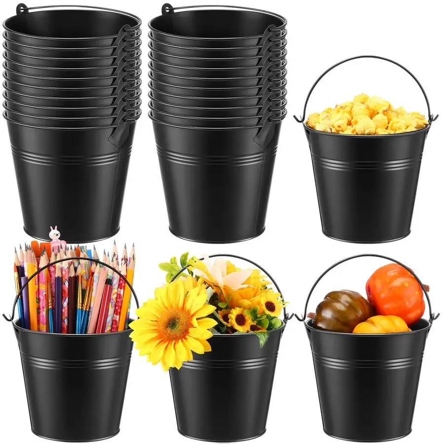 

24 Pcs Metal Bucket 5 x 3.5 x 4.7 Inch Mini Party Buckets for Flower Pot Plant Basket Iron Small Metallic Pails with Handle for