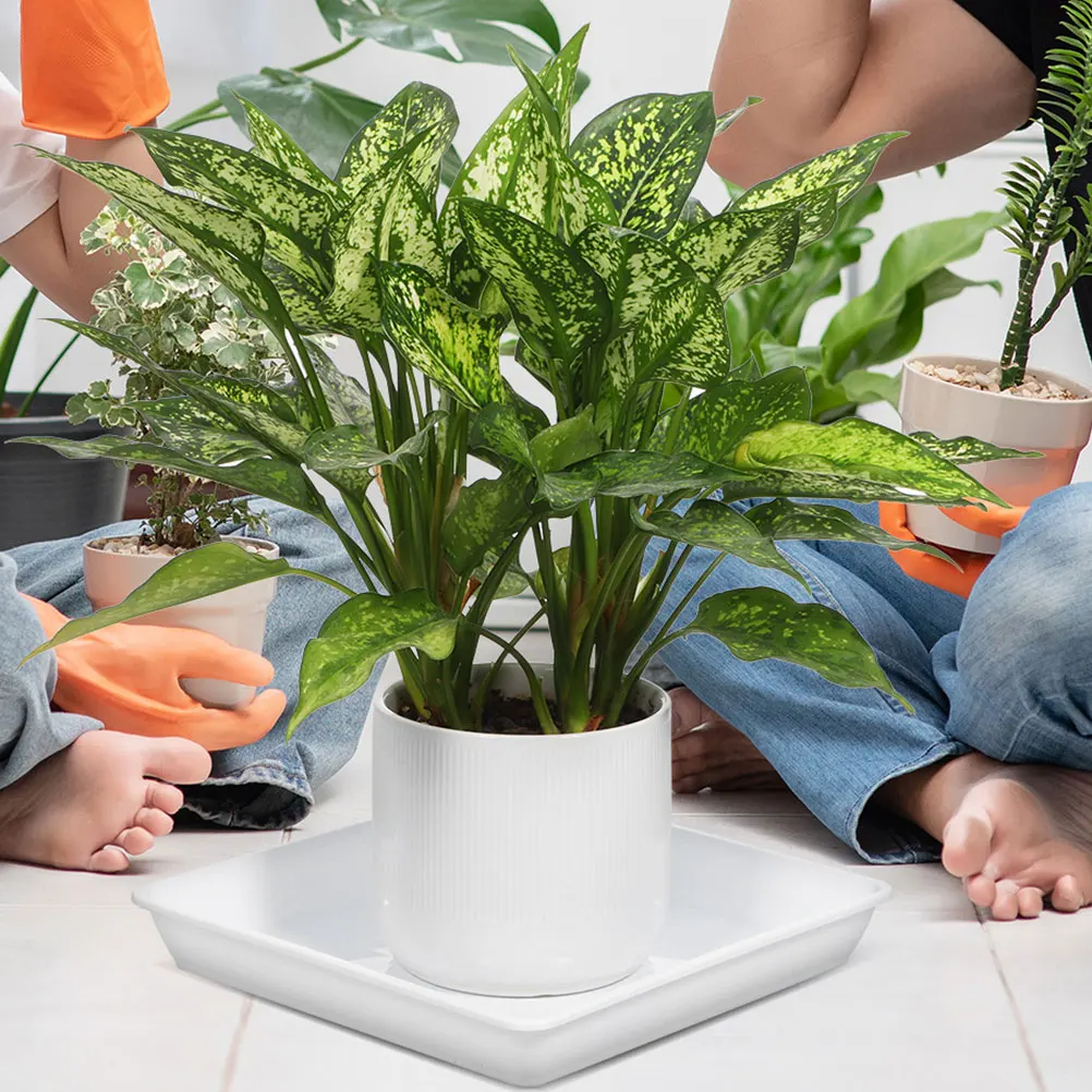 2 قطعة صينية وعاء الزهور المربعة 13.76 بوصة طبق نباتات بلاستيكي لحديقة بونساي العصارة قاعدة تصريف المياه الأبيض