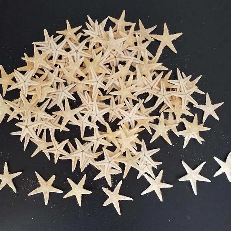 Sea shells size:0.5-3cm 100pcs Mini Starfish Craft Decoration Natural Sea Stars