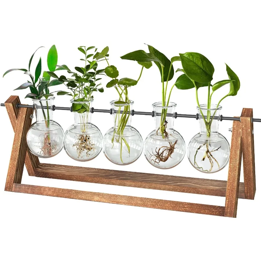 

Plant Terrarium with Wooden Stand Desktop Propagation Stations Glass Air Planter Metal Swivel Holder for Indoor Live Hydroponic