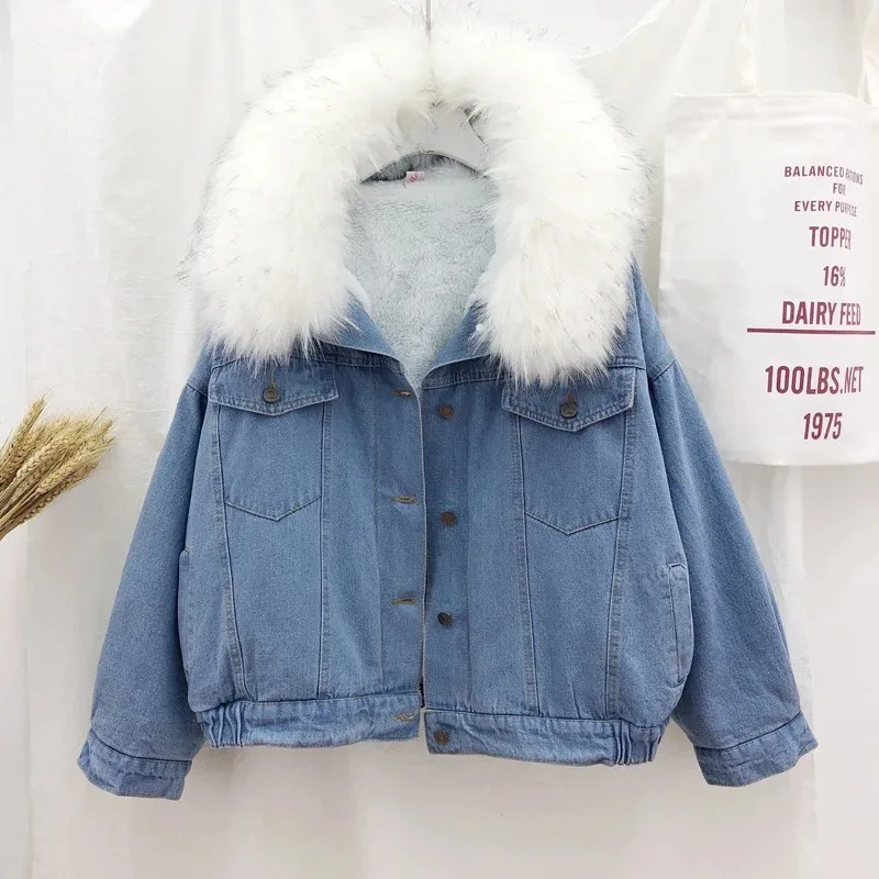2025 velvet thick denim jacket female winter big faux fur collar Korea denim  coat female student short coat