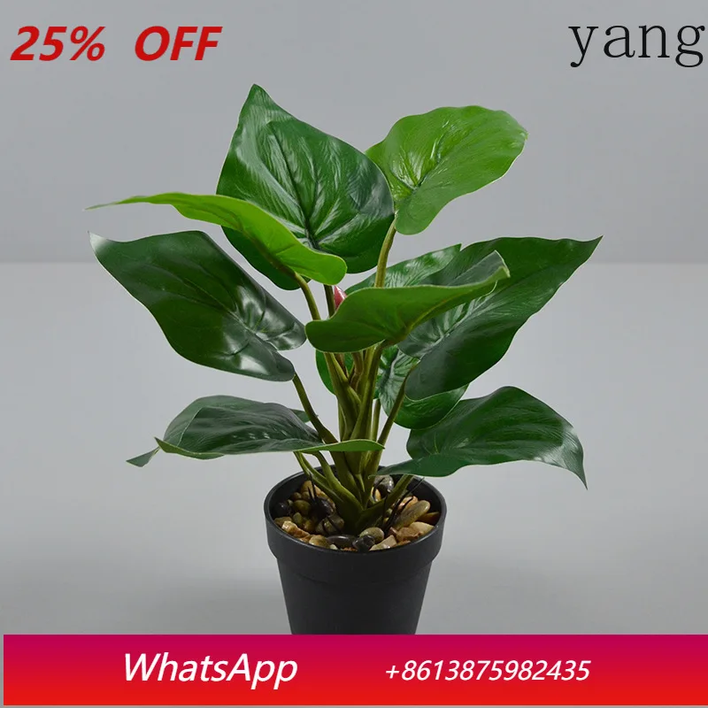 

CX Simulation Green Plant Bonsai Qin Leaf Ficus Turtle Back Bamboo Leaf Potted Plant