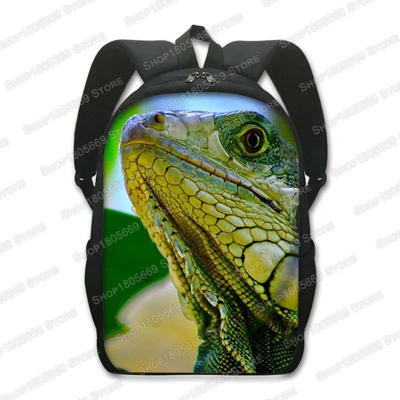 Reptiles Pet Frog Chameleon Snak Spider Print Backpack Women  display picture 1