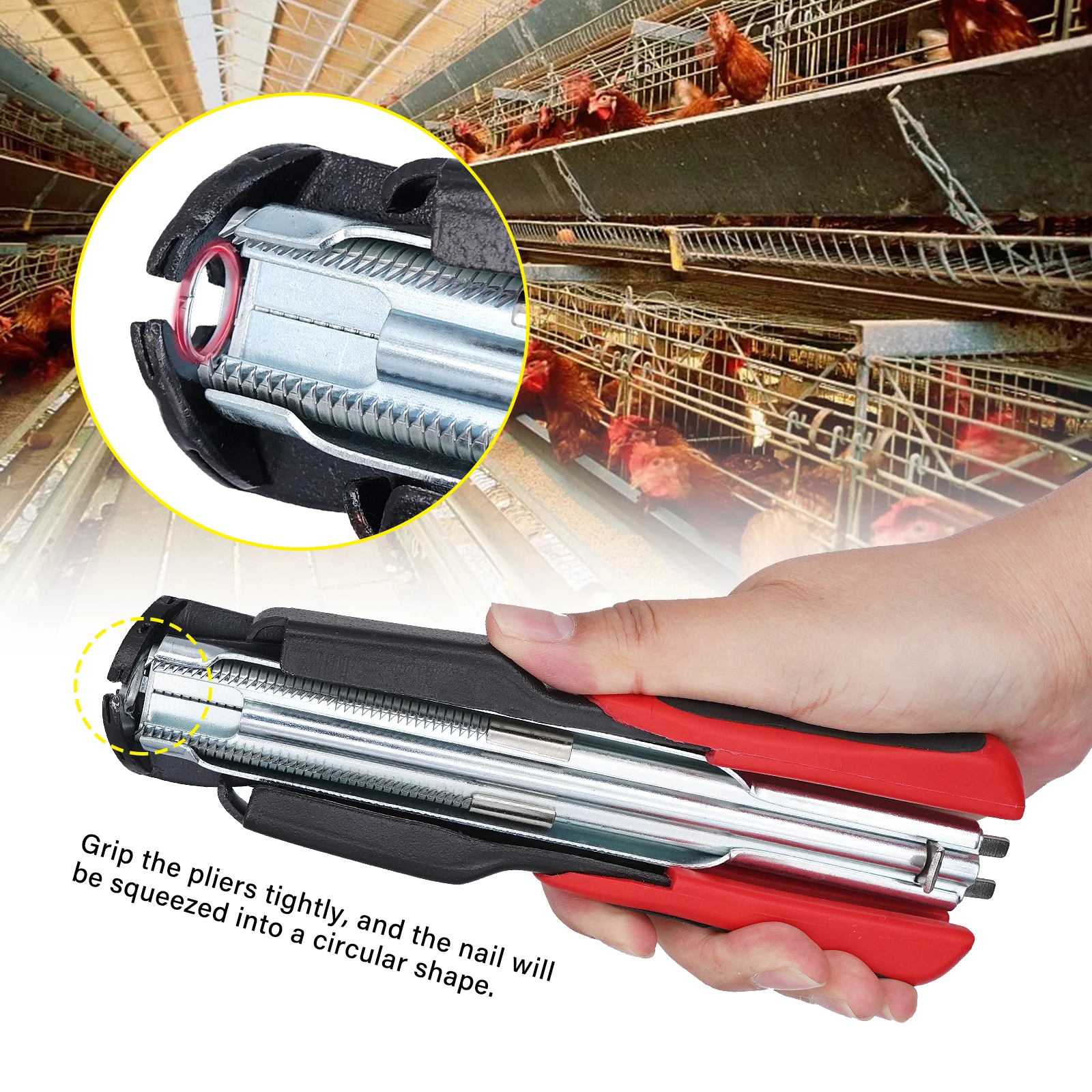 Thumbnail 4 - #30 Latest Pet Nail Tools Offers
