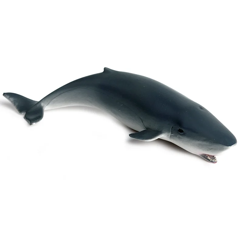 Children\'s solid static simulation marine animal model toy whale shark sperm whale plastic animal model ornaments