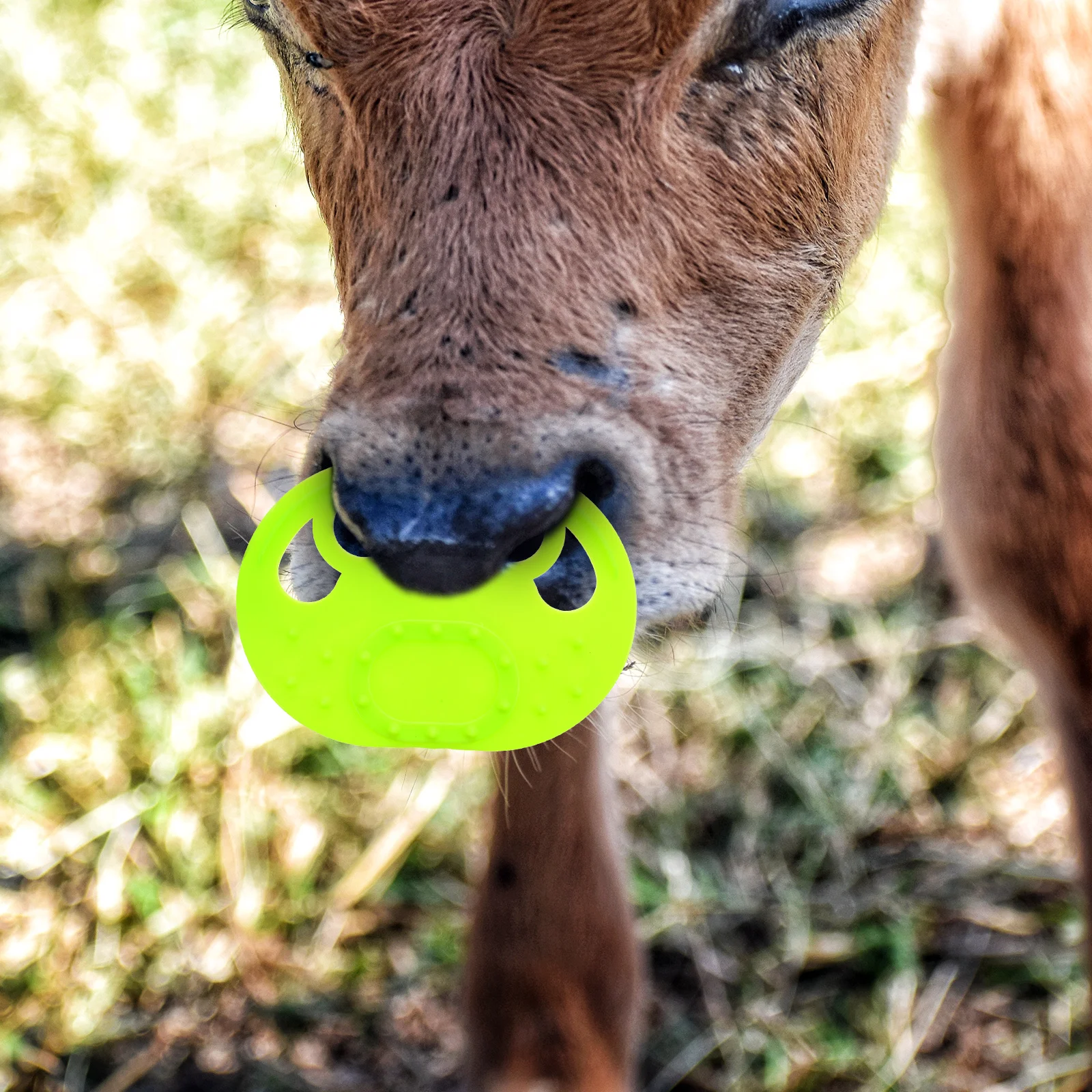 

4pcs Calf Weaner Plastic Cattle Nose Ring Clip Durable Reusable Cow Accessories Weaning Tool Farm Supplies Pet Goods