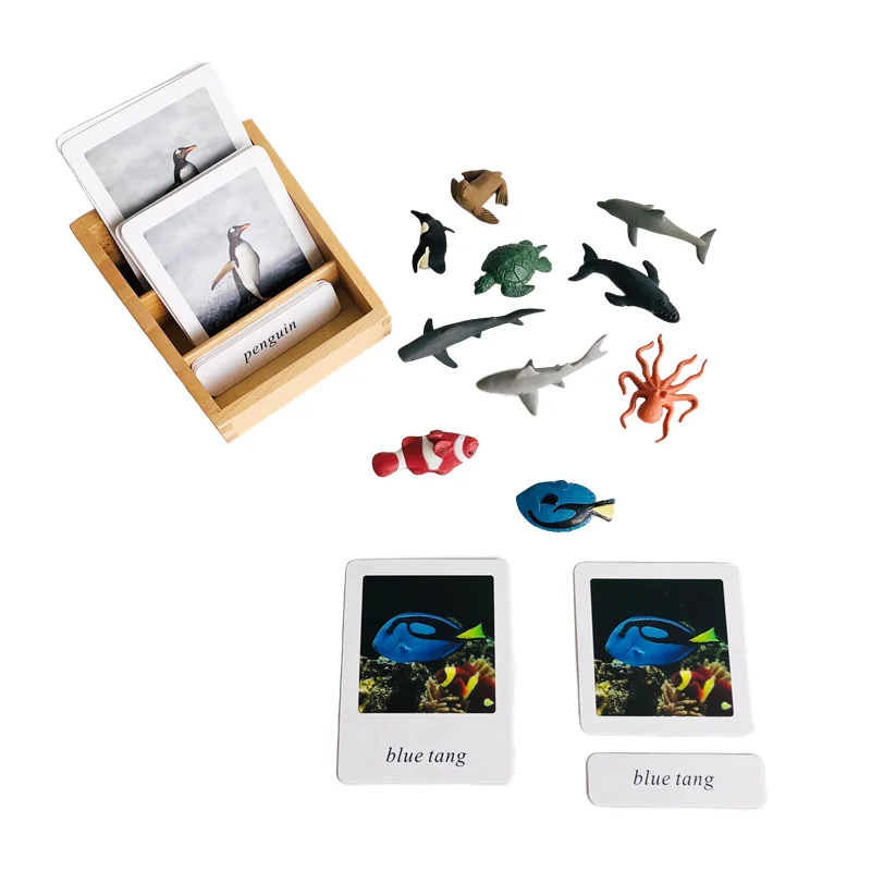 Carte Montessori in 3 parti di animali oceanici strumenti per l'apprendimento della biologia attrezzature educative prescolari gioco educativo per la prima infanzia