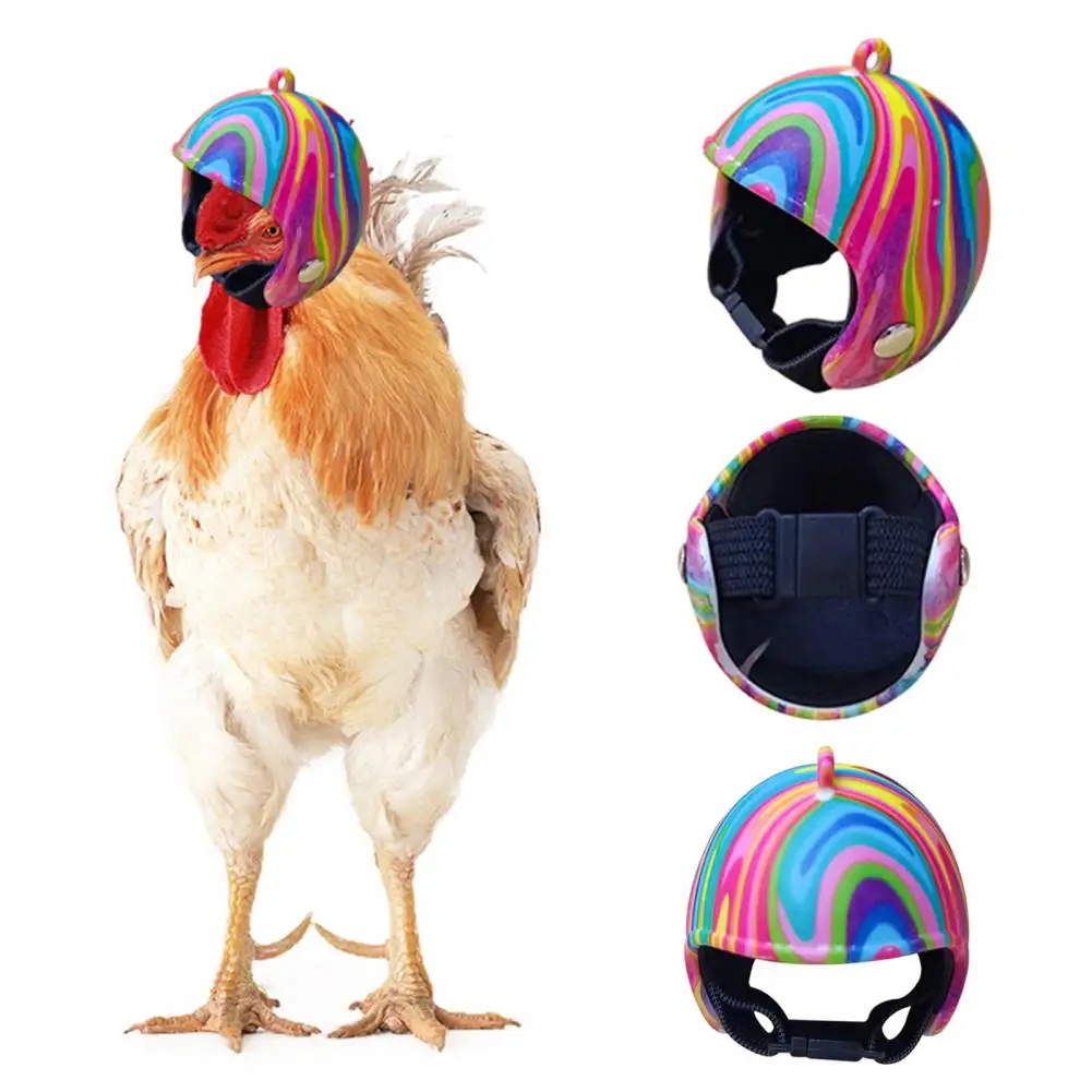 Casque de protection jetable pour petits oiseaux, équipement de sauna réglable, sûr, confortable, mignon, fournitures pour animaux de compagnie