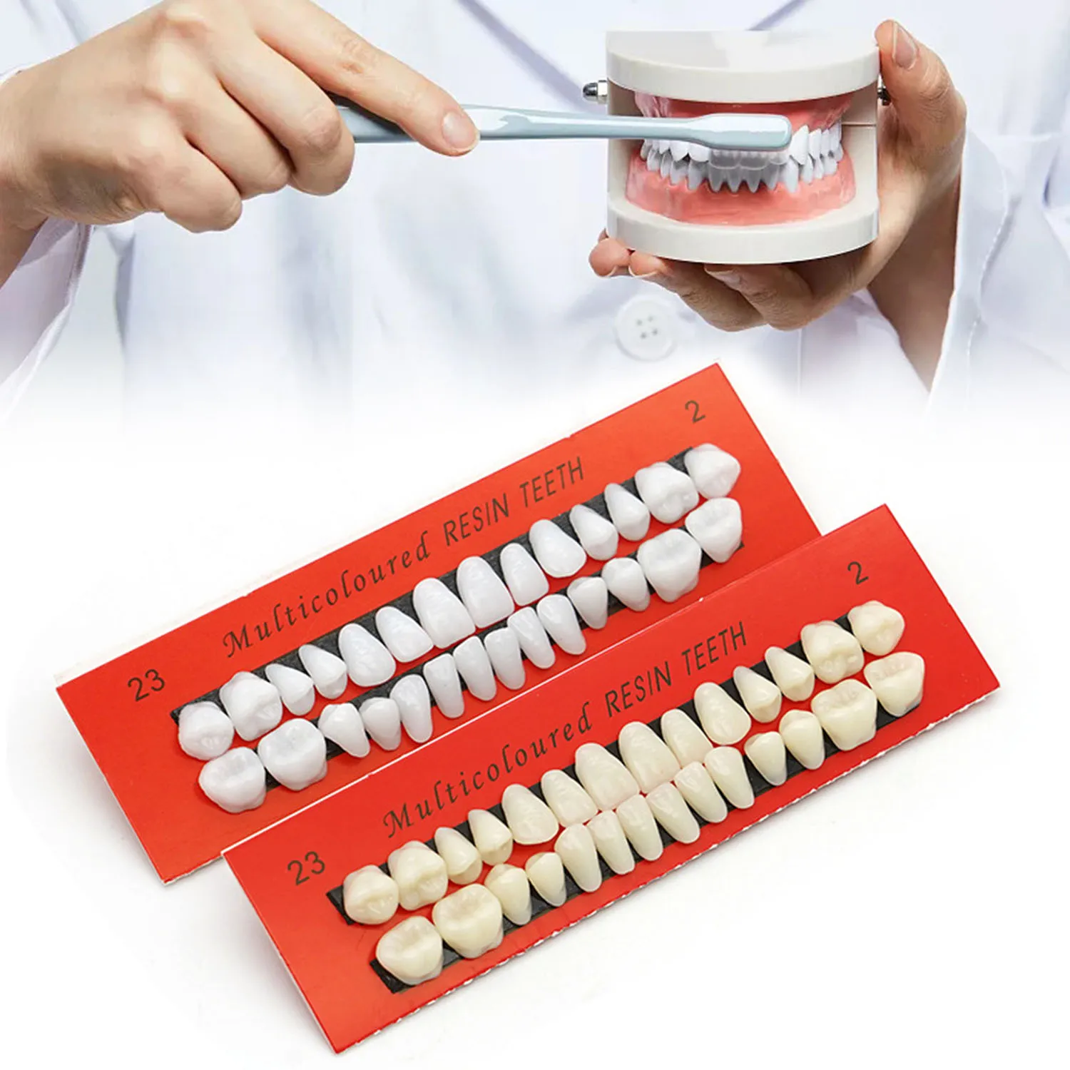 

Acrylic Resin Fake Teeth Complete Acrylic Resin Teeth Denture Dental Teeth Dentures Upper and Lower Synthetic Resin