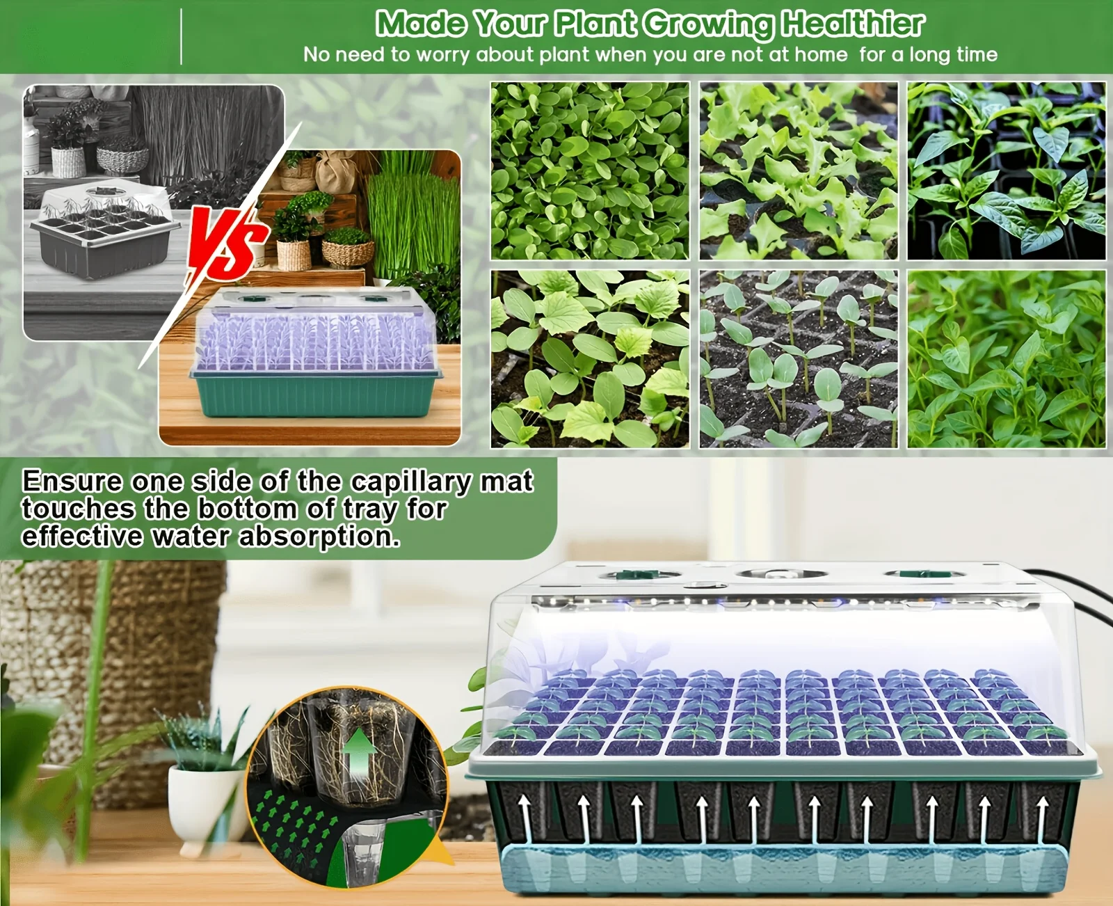 Selbstbewässerndes 60/120-Zellen-Anzuchtset mit Wachstumsbeleuchtung & 4,07-Zoll-Kuppel, Indoor-Keimungsset für Pflanzensamen – Detail 1