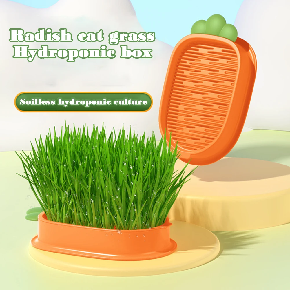 

Drain Catgrass Hydroponic Box Durable Catgrass Cultivation Tray Plants Growing Tool