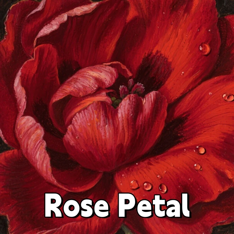 

Top Quality Bulk Rose Petals Peony Petals Used For Decoration Bathing Whitening Candle Making Filling Soap Making