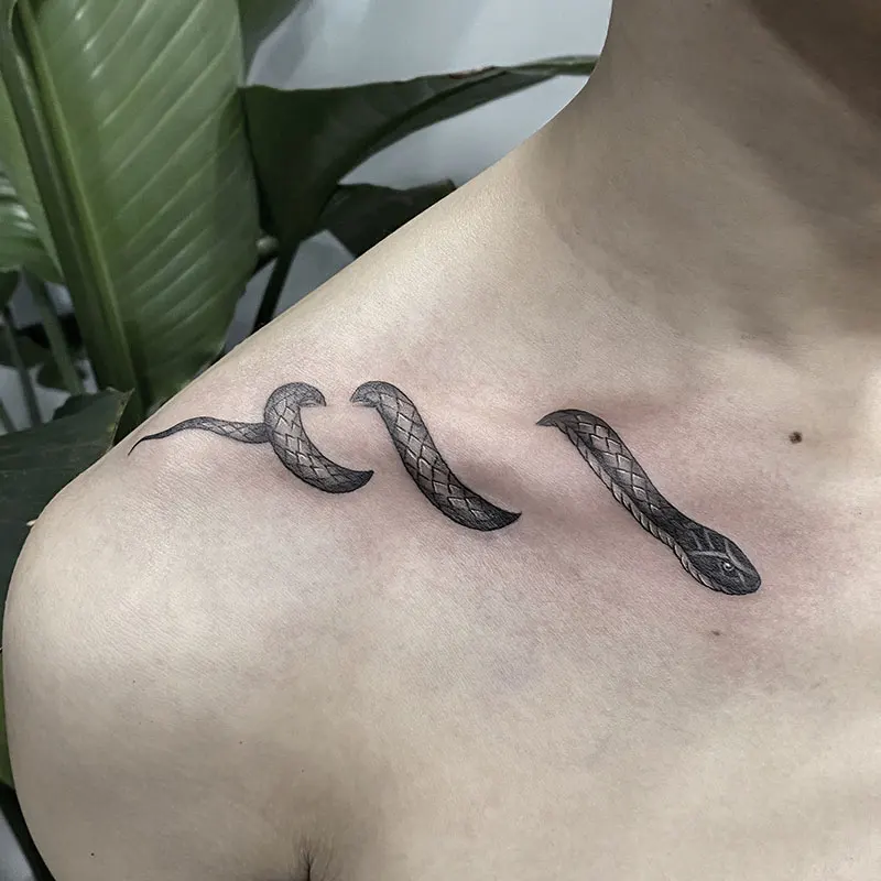 

6 Large Herbal Tattoo Stickers, Including 1 with Snake Elements and 5 Random Designs, Lasting for 7-15 Days, Waterproof and Friction-Resistant, with Realistic Effects, Suitable for People Who Are Afraid of Pain and Do Not Want to Get Tattoos