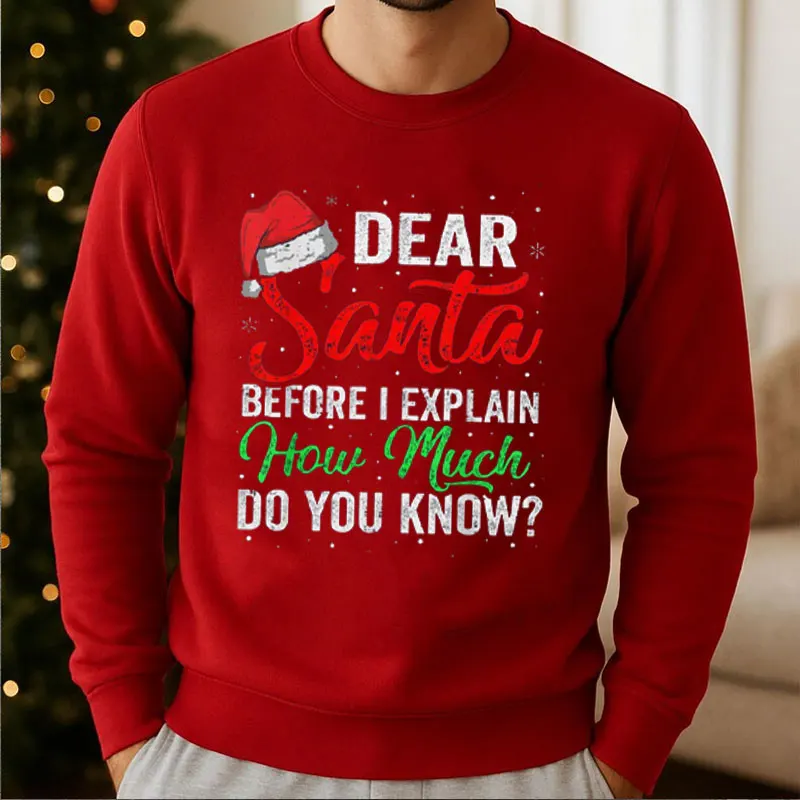 Dear Santa Christmas Holiday Sweatshirt Hoodie Funny Santa Christmas Party Outfit Humorous Festive Wear Christmas Jumper Funny