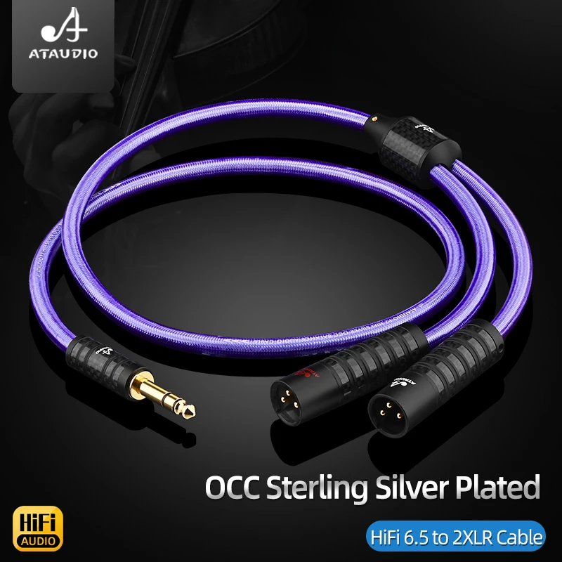 

ATAUDIO HiFi 6.5 mm TRS to 2XLR Cable Y-Splitter OCC Sliver Plated 6.5mm Stereo to 2XLR Adapter Cable for Microphone Amplifier