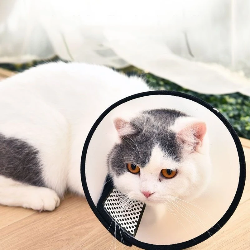 Verhindern Sie Biss, transparente Schutzhülle für Hunde und Katzen, Wundheilung, Bad, Pflegekegel, schützendes medizinisches Halsband für Hunde – Detail 2