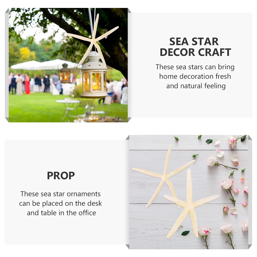 

2pcs Natural Knobby Sea Stars Decor Wedding Party Craft Home Desk Table Decoration Ocean Theme Event Supply Ornament