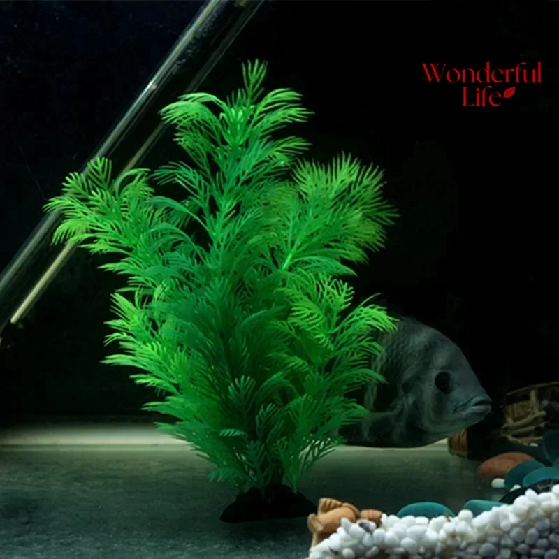 Thumbnail 2 - #77 Trending Decorative Aquarium Plants Right Now