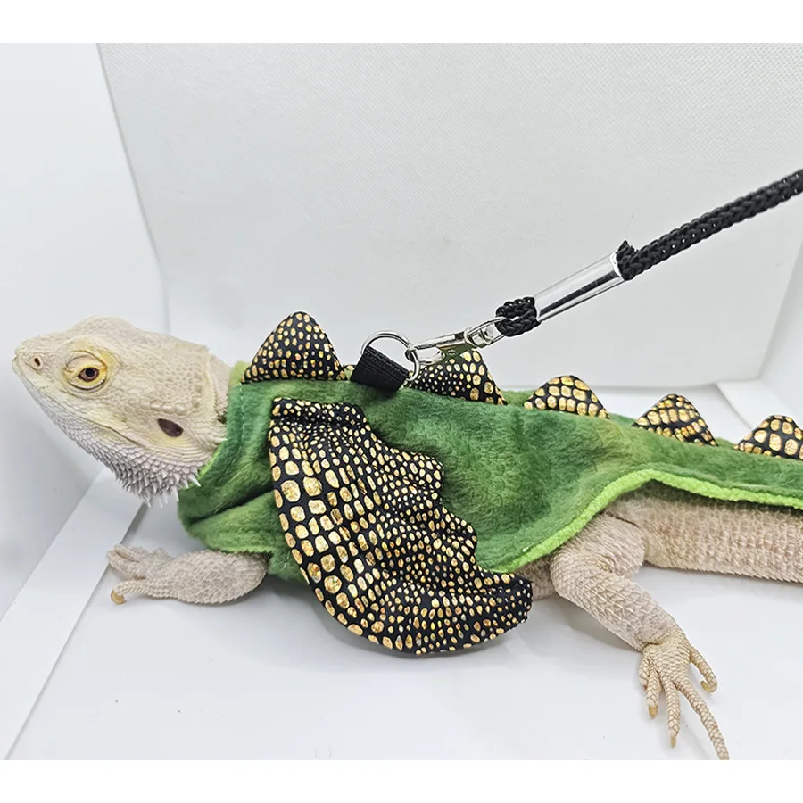 Adjustable Dragon Costume with Leash 4