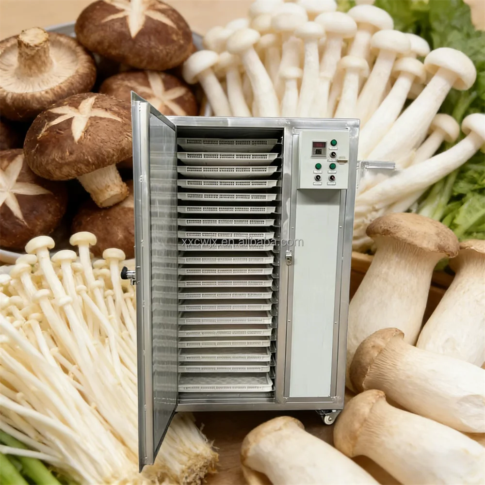 Customized Size Fruit Vegetable Processing Equipment Mango Banana Apple Lemon Fruit Dryer Dehydrator for Food Drying