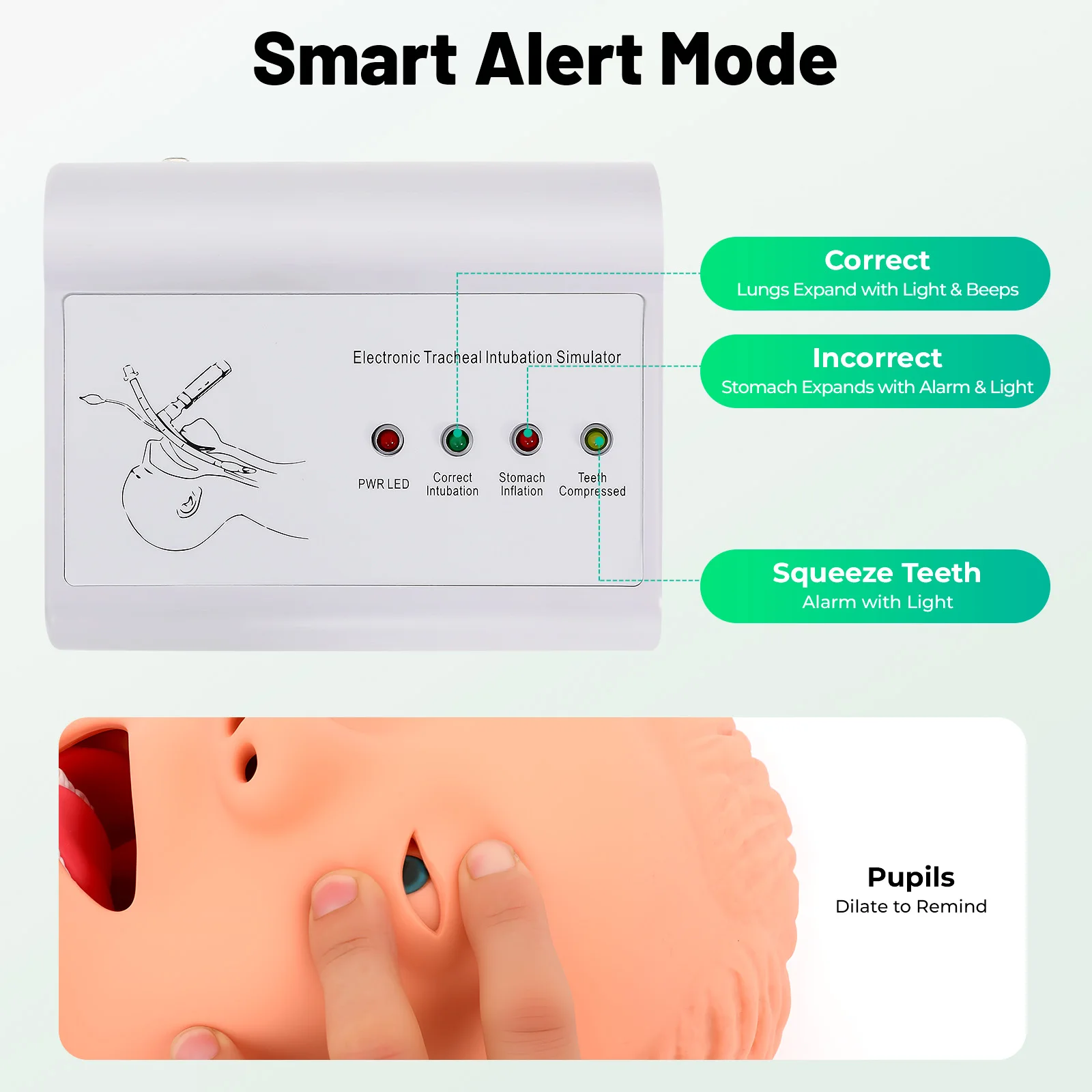 Electronic Intubation Model Oral Nasal Airway Training Manikin with Smart Alarm Light Monitor for Medical Teaching