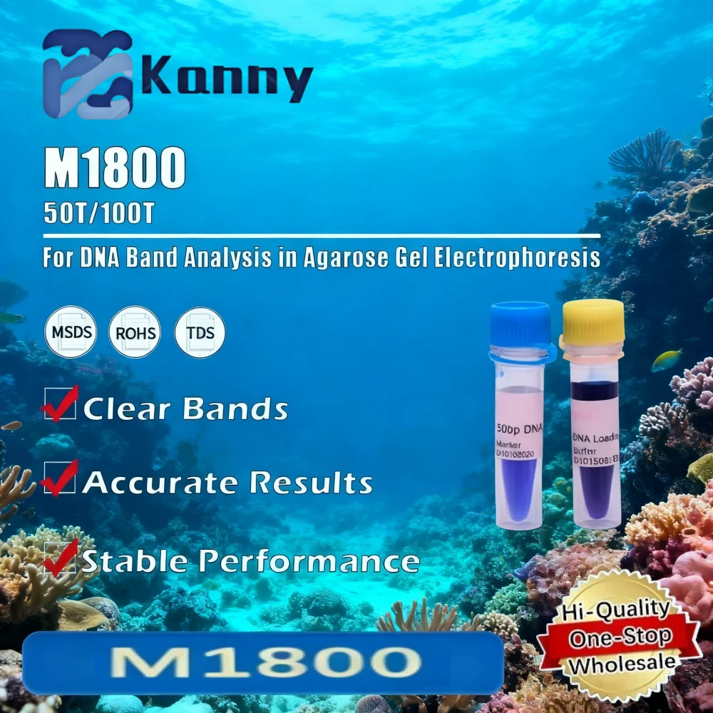 M1800 DNA Nucleic Acid Marker Electrophoresis Fragment Size Indication Molecular Biology Research Tool Original Product