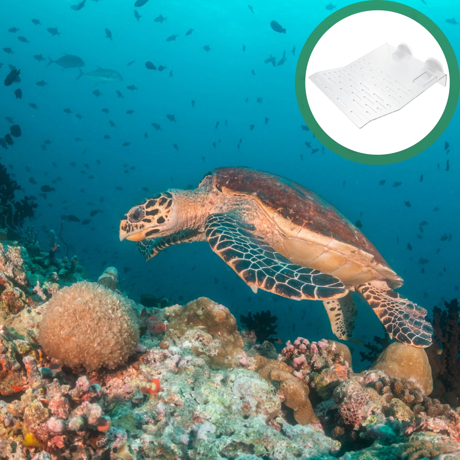 

1Pcs Turtle Basking Platform Transparent Climbing Terrace Turtle Tank Ladder Pet Supply Aquarium Habitat Resting Platform