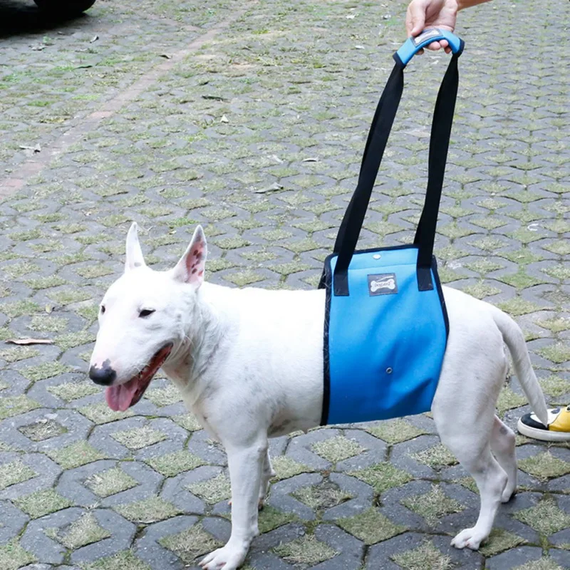 Portable Dog Sling For Back Legs Hip Support Harness to Help Lift Dogs Rear For Canine Aid and Old Dog Ligament Rehabilitation