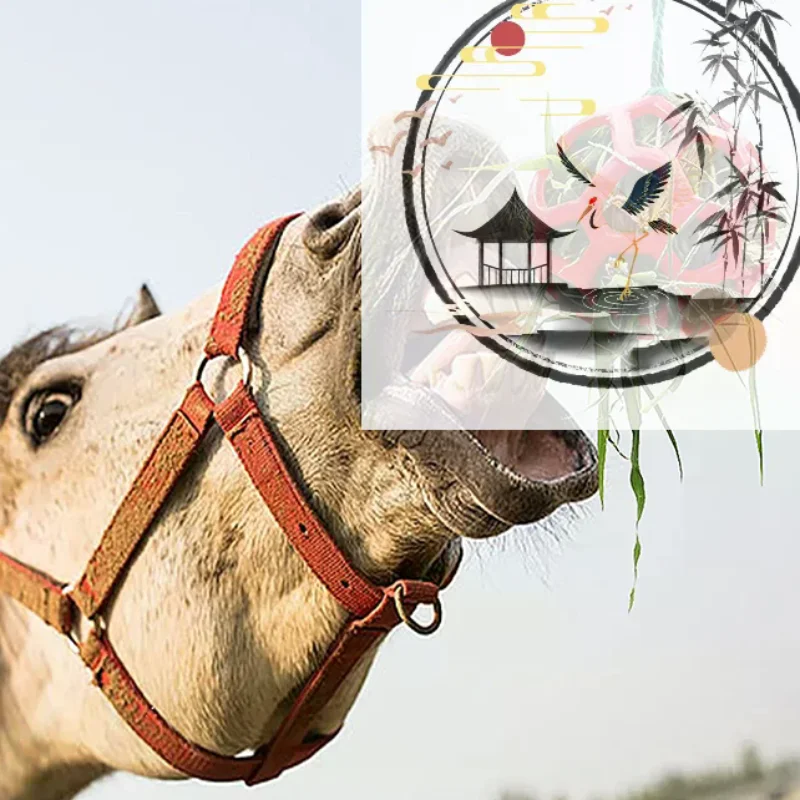 كرة علاج الحصان، لعبة تغذية القش، كرة معلقة، لعبة تغذية للحصان والماعز والأغنام لتخفيف التوتر، كرة علاج الحصان #1