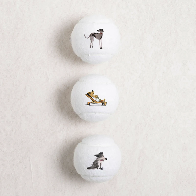 تستخدم كرات التنس لتدريب الحيوانات الأليفة، والتجول، والحفلات، والمناسبات على نطاق واسع، والألعاب، والألعاب، مخصصة مع الشعار المطبوع #2