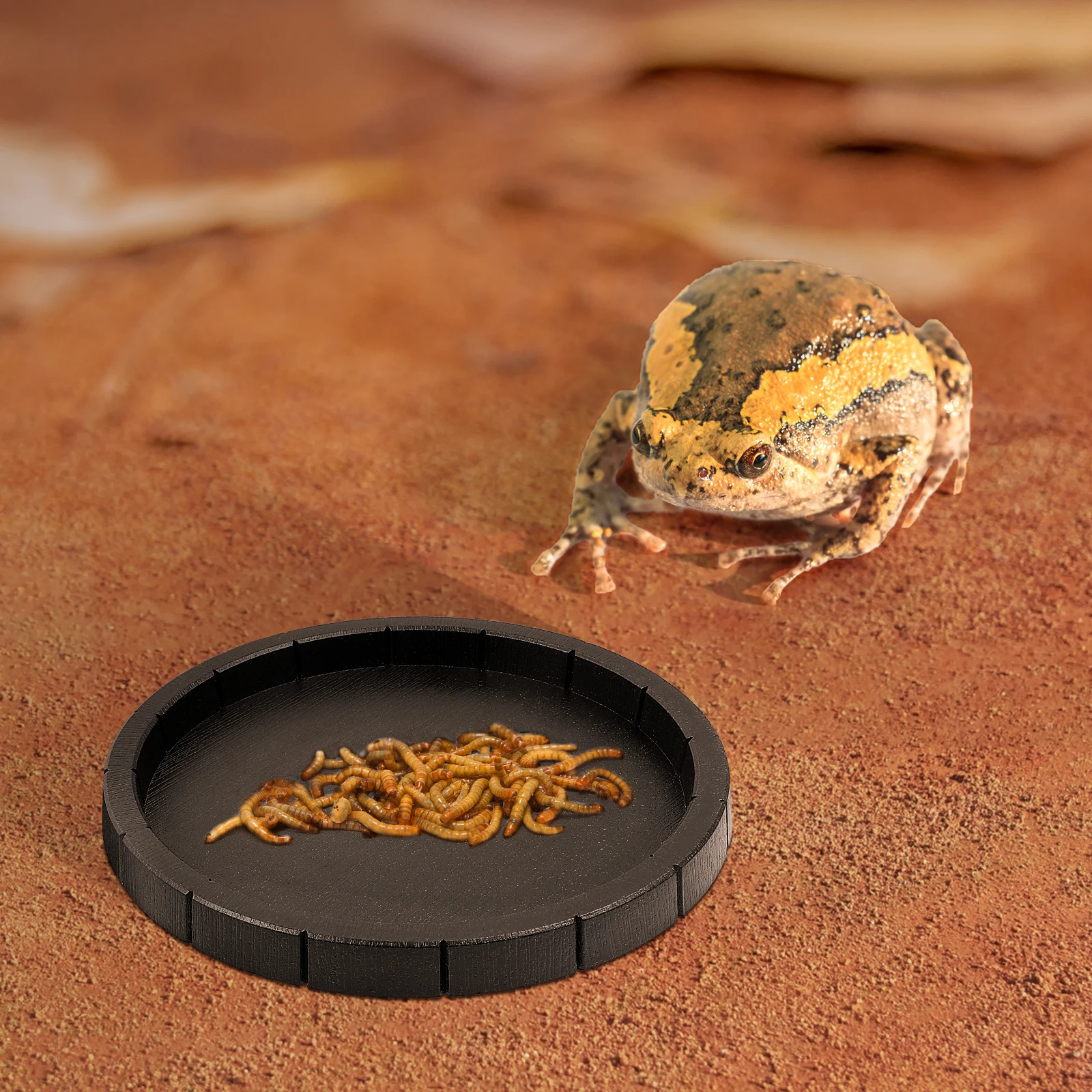 

2Pcs Reptile Feeding Bowls Thick Durable Food Water Dish for Lizards Geckos Tortoise Pet Supplies Reptiles Bowls