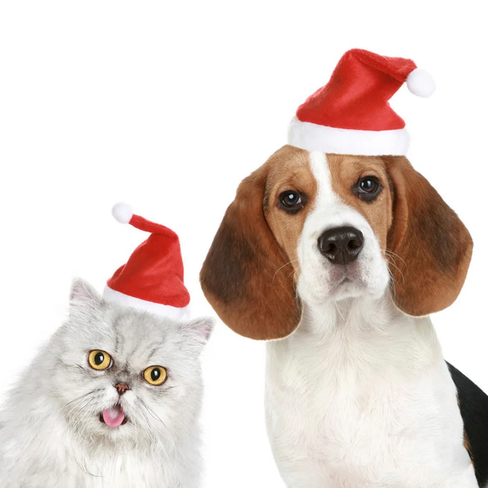 Santa Claus Christmas Hat for Pets, Costume for Puppy, Kitten, Small Cats, Dogs, 5.5 