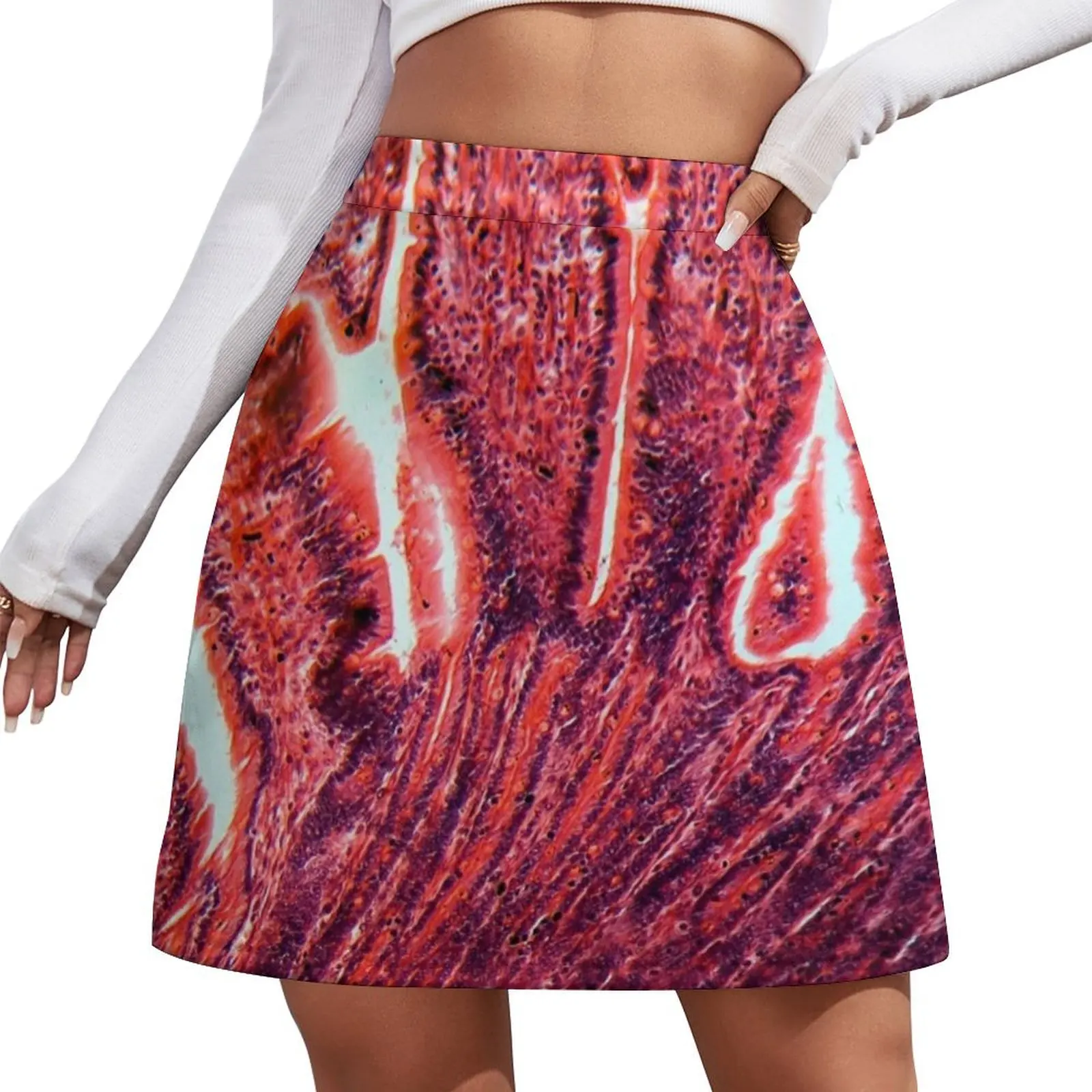 

A section trough cells of a small intestine under the microscope. Mini Skirt Skirt shorts girls skirt elegant skirts for women