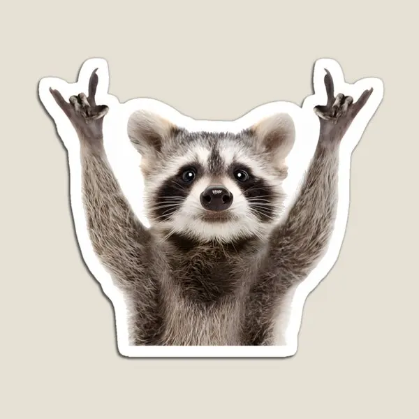 Raccoon Rock Sign  Magnet for Fridge Organizer Toy Children Stickers Magnetic Decor Home Baby Kids Funny Holder Refrigerator