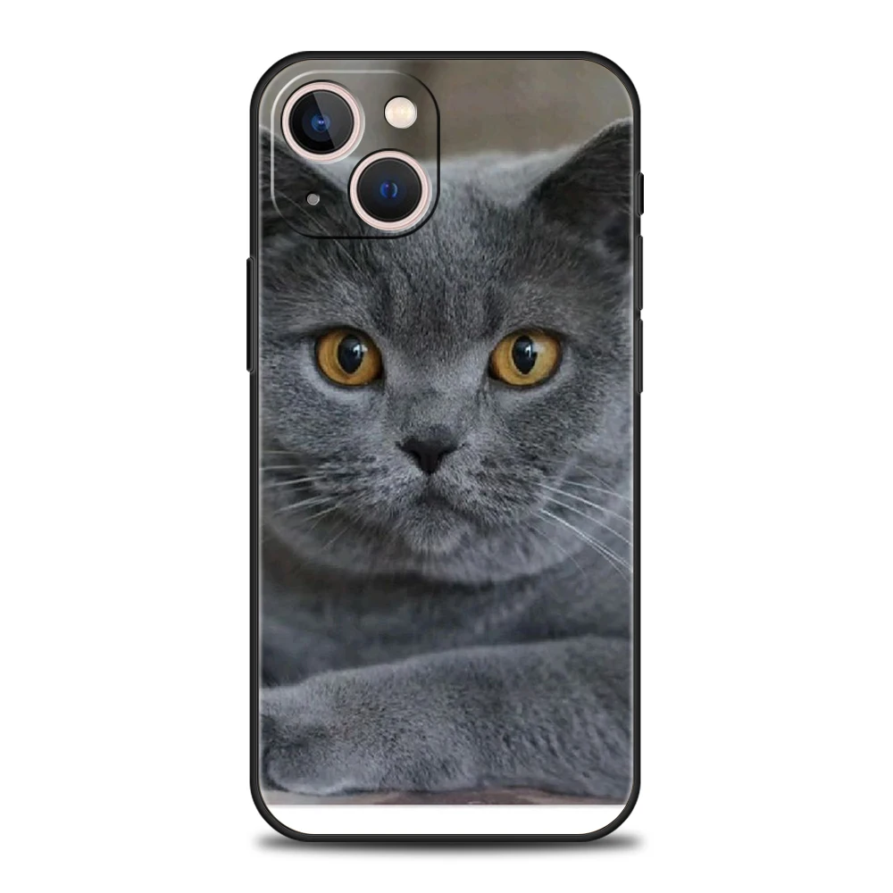 British shorthair cat Luxury Phone Case For iPhone 11 12 13 14 15 16 Pro Max Mini X XR XS 7 8 Plus SE Silicone Cover Black Funda