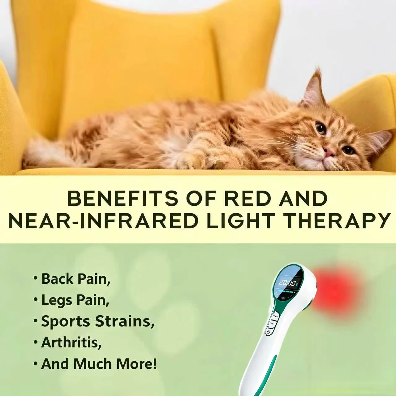 Vet Cold Laser Therapy Device 650nm 808nm LLLT for Dogs Cats Horses Pain Relief Itching Skin Treatment Portable