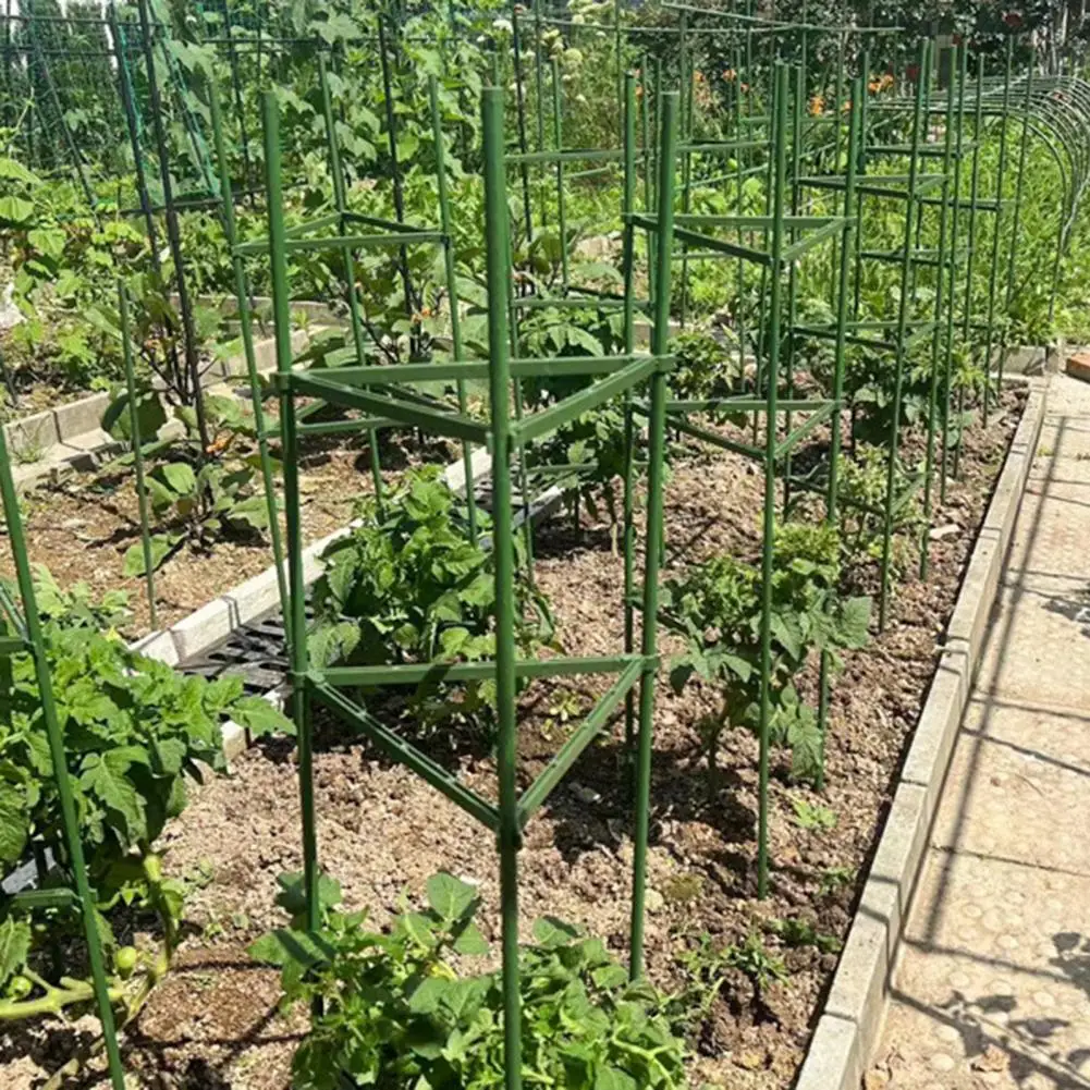 

Easy-install Plant Cages Durable Tomato Cages for Outdoor Gardens Pots Sturdy Plant Stakes Support for Climbing for Garden