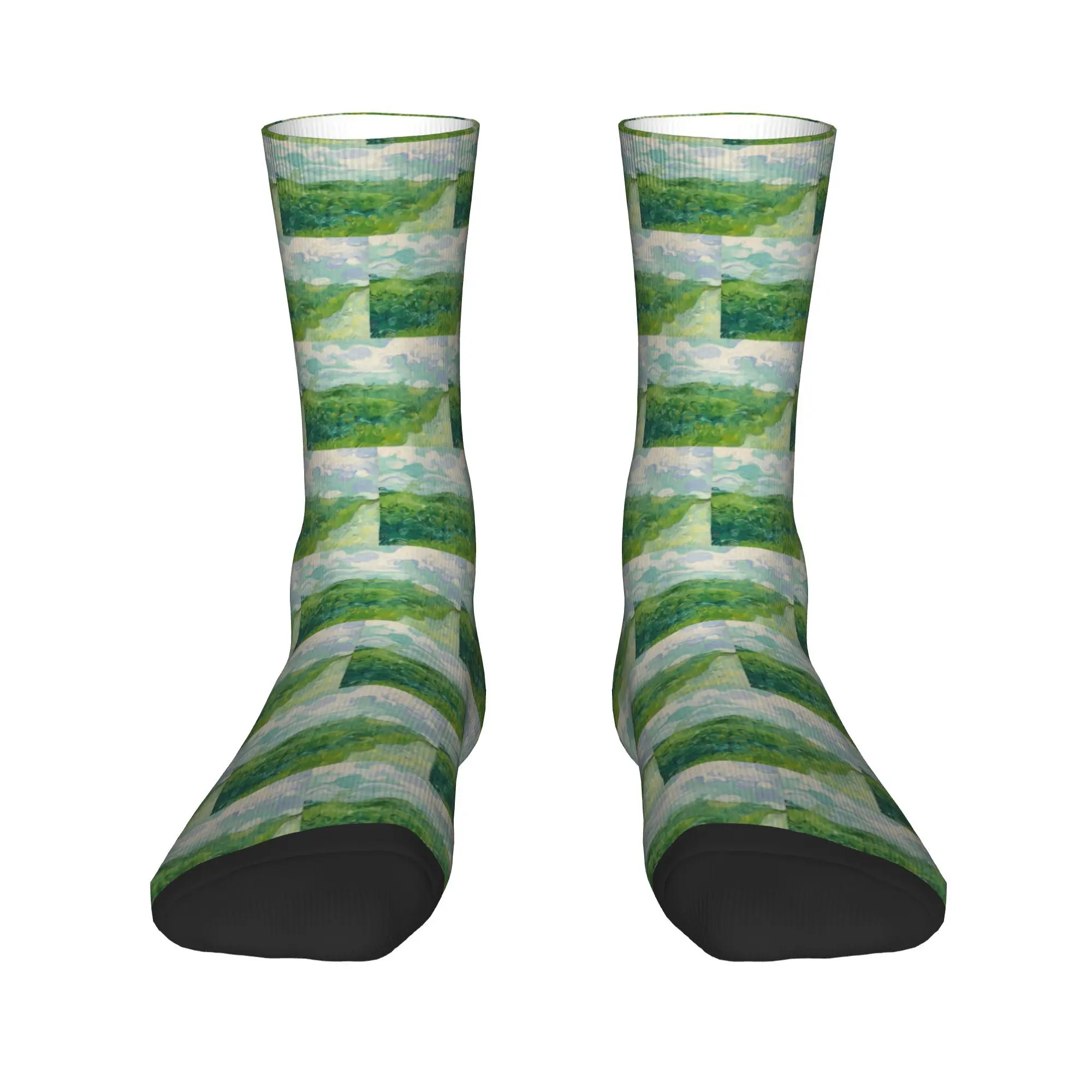 

Носки Green Wheat Fields, Auvers, Vincent van Gogh, супер мягкие чулки в стиле Харадзюку, всесезонные длинные носки, аксессуары для мужчин и женщин