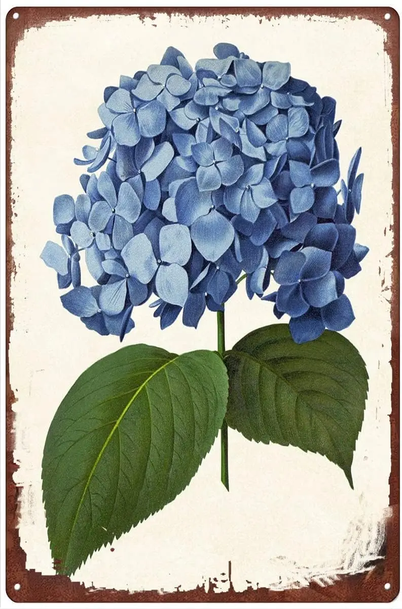 Blue Hydrangea Vintage Flower Metal Tin Sign Artwork Signs for Home Novelty Metal Tin Signs Retro Plate Desserts Shop Cafe Decor