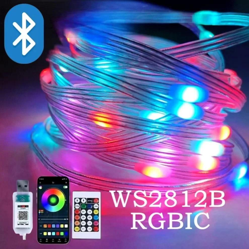 WS2812B LED Light String RGBIC Waterproof USB Fairy Garland Lamp Smart Bluetooth Remote Control DIY Wedding Home Room Decoration