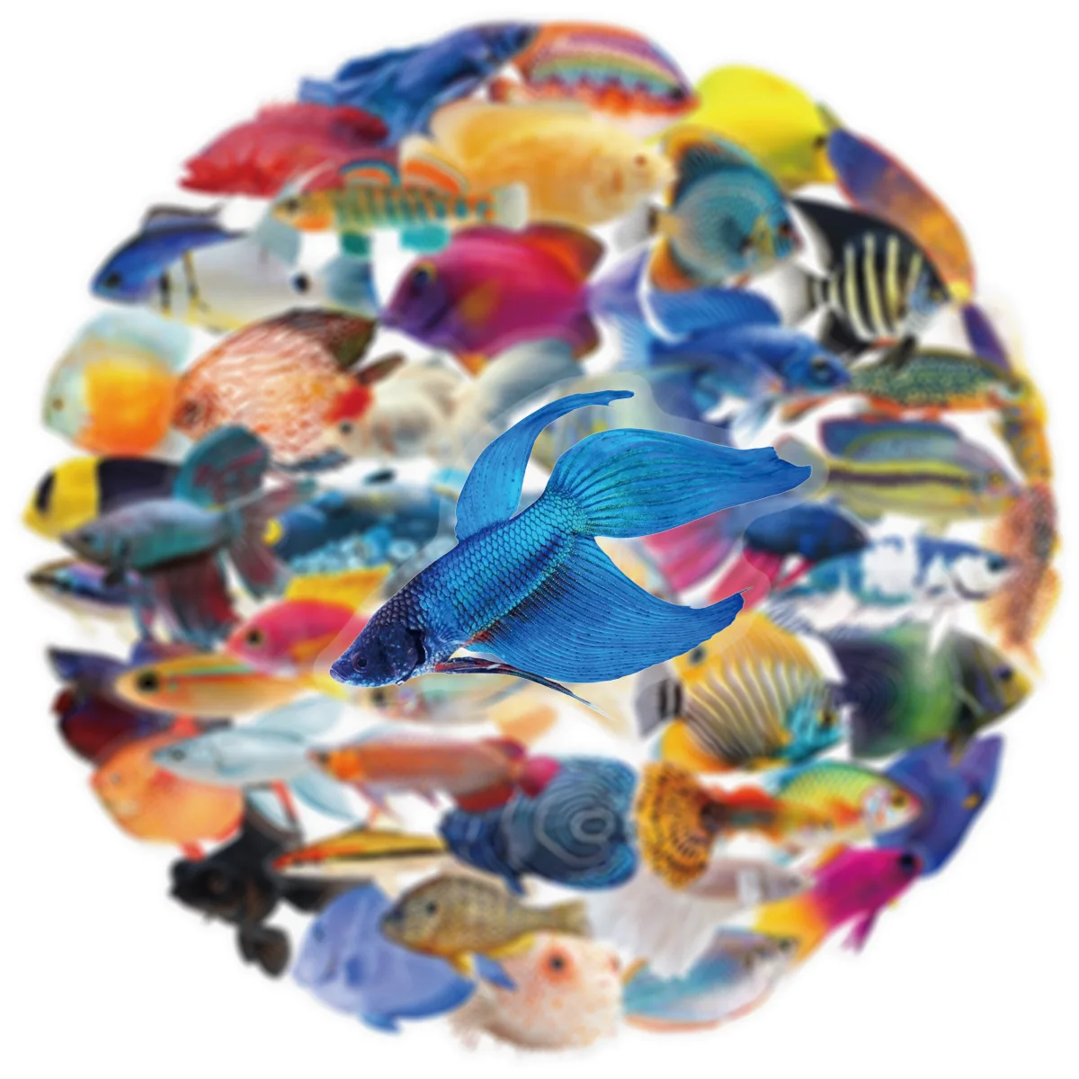 50PCS Transparent PET Fish Stickers Phone Luggage Water Cups Computer Office Stationery Decoration Waterproof Stickers image 4