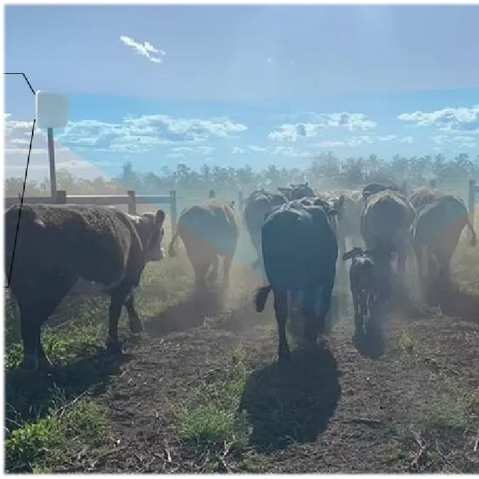 

RFID Animal Management Solution With Handheld Reader Antenna And Tags Free SDK-Access Control Product