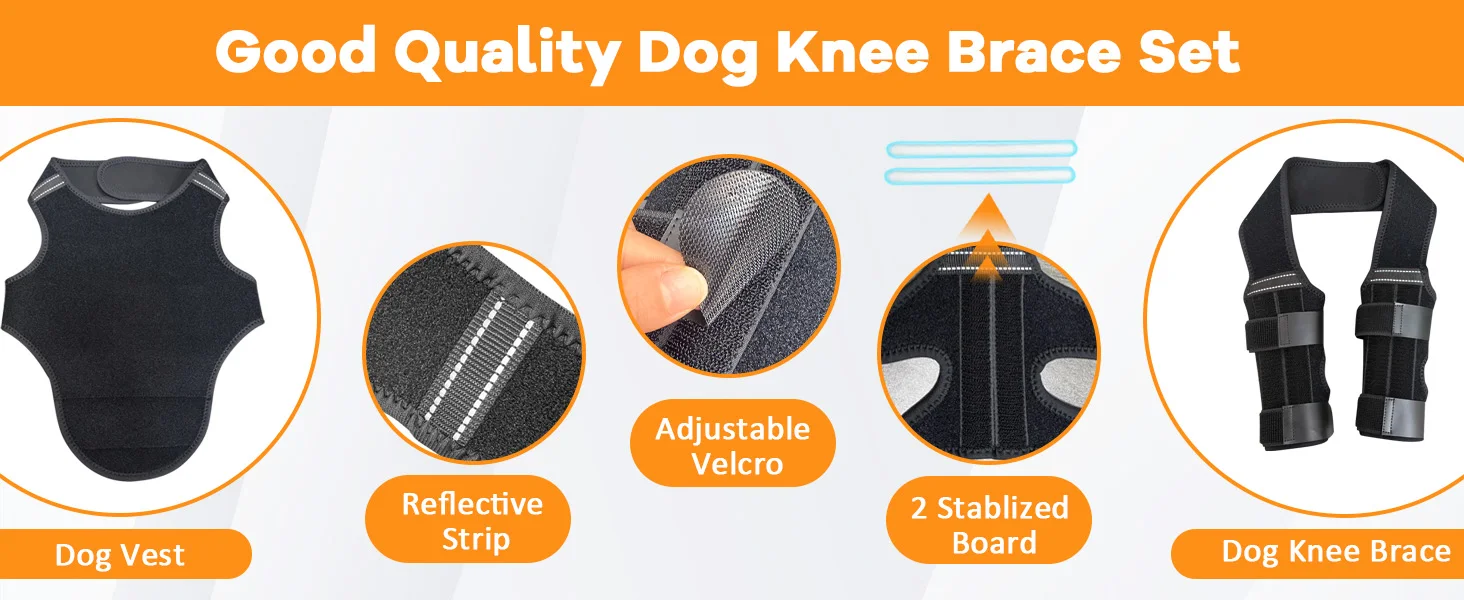 dog knee braces for back leg