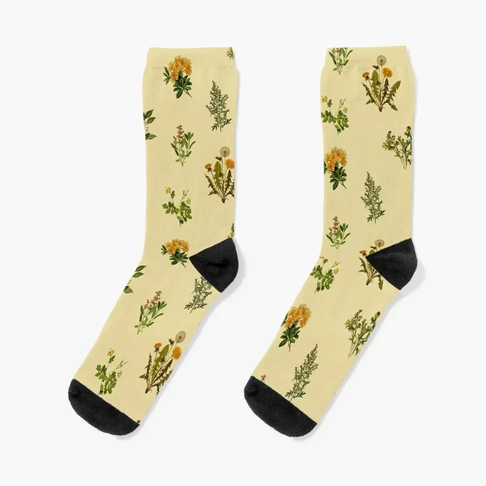 

Vintage Botanical pack Socks hockey gifts Designer Man Socks Women's